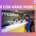 Danh sách cửa hàng Mobifone quận 8 mới nhất hiện nay