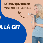 Số máy quý khách vừa gọi không đúng nghĩa là gì?