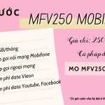 Cách đăng ký gói cước MFV250 Mobifone rinh data và gọi siêu khủng