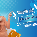 Mobifone khuyến mãi hòa mạng trả sau tháng 9/2024 nhiều gói cước hòa mạng hấp dẫn