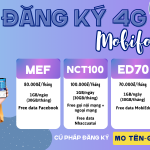 Đăng ký 4G Mobifone ưu đãi khủng dùng mạng thỏa thích không lo về giá