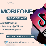 Đăng ký gói cước KNT Mobifone có 30GB, Free data Tiktok thả ga