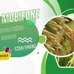 Đăng ký gói AG125 Mobifone chỉ 125k nhận 6GB/ngày và dùng MobiAgri