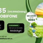 Cách đăng ký gói cước AG135 Mobifone rinh siêu data giá cực rẻ