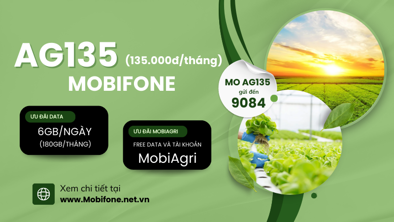 Cách đăng ký gói cước AG135 Mobifone rinh siêu data giá cực rẻ 