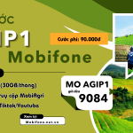 Đăng ký gói cước AGIP1 Mobifone nhận 30GB, free data Tiktok và Youtube