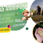 Đăng ký gói AG155 Mobifone ưu đãi 180GB, miễn phí gọi và dùng MobiAgri