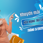 Mobifone khuyến mãi hòa mạng trả sau tháng 5/2025 nhiều gói cước hòa mạng hấp dẫn