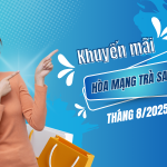 Mobifone khuyến mãi hòa mạng trả sau tháng 8/2025 nhiều gói cước hòa mạng hấp dẫn